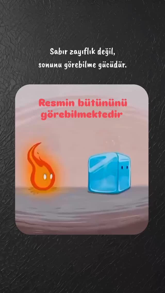 Resmin bütününü görebilmektedir 