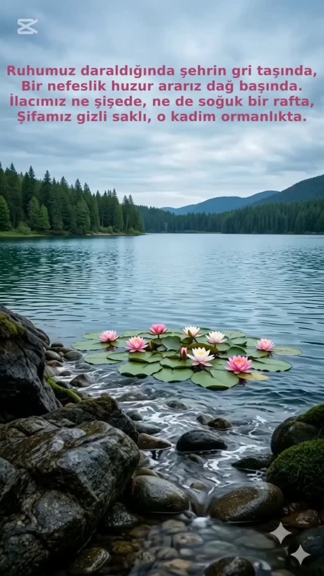 Ruhumuz daraldığında şehrin gri taşında,

Bir nefeslik huzur ararız dağ başında.

İlacımız ne şişede, ne de soğuk bir rafta,

Şifamız gizli saklı, o kadim ormanlıkta.

​Toprağa değerse çıplak ayakla t